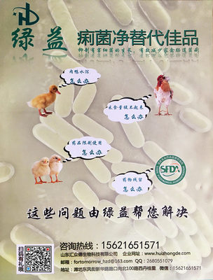 探索痢菌凈替代品與呼吸道栓塞防治策略 畜牧漁業飼料銷售新視角