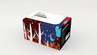 食品包裝設計 連接味蕾與心靈的視覺橋梁